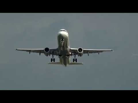 flugzeugstart vor vogelschwarm a